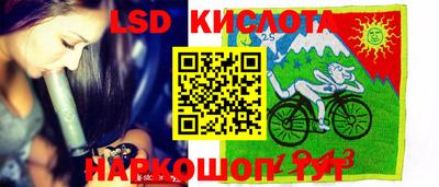 шишки Славгород